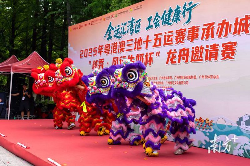 电竞战队：赛场上的精英团队